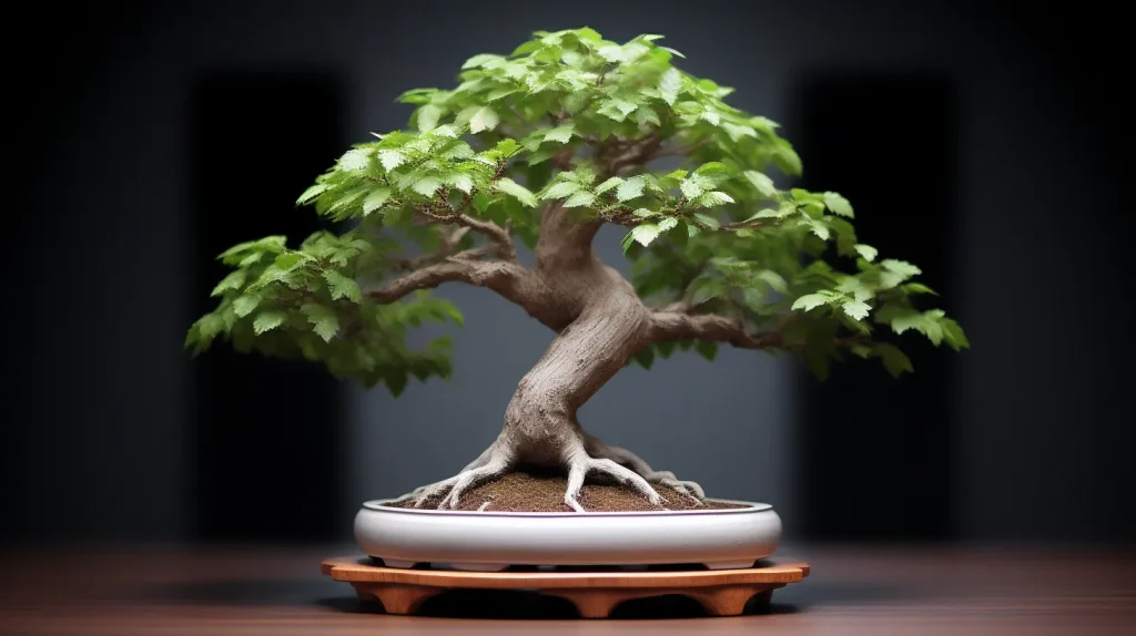 La cura e la dedizione necessarie per plasmare un bonsai sono simili a quelle richieste per